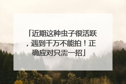 近期这种虫子很活跃，遇到千万不能拍！正确应对只需一招