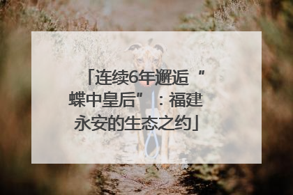 连续6年邂逅“蝶中皇后”：福建永安的生态之约