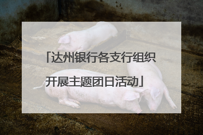 达州银行各支行组织开展主题团日活动