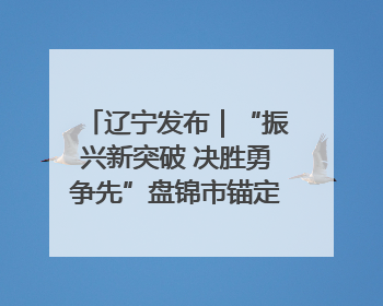 辽宁发布｜“振兴新突破 决胜勇争先”盘锦市锚定“五方面工作”力争全年地区生产总值增长5.5%左右