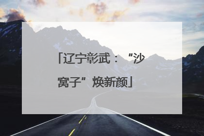 辽宁彰武：“沙窝子”焕新颜