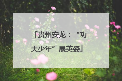 贵州安龙：“功夫少年”展英姿