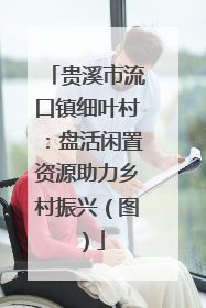贵溪市流口镇细叶村：盘活闲置资源助力乡村振兴（图）