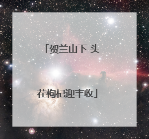 贺兰山下 头茬枸杞迎丰收
