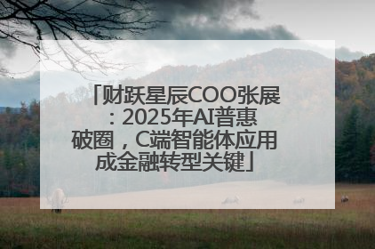 财跃星辰COO张展：2025年AI普惠破圈，C端智能体应用成金融转型关键