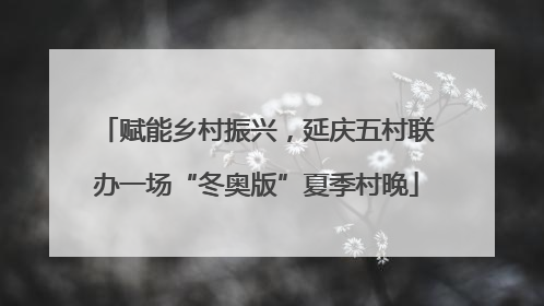 赋能乡村振兴，延庆五村联办一场“冬奥版”夏季村晚