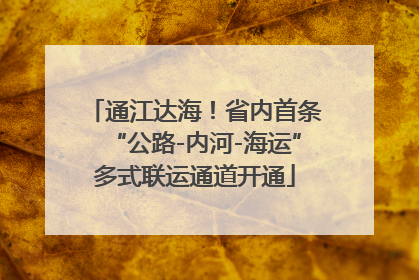 通江达海！省内首条“公路-内河-海运”多式联运通道开通
