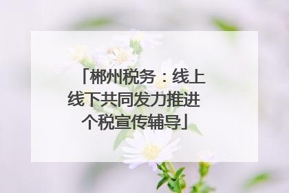 郴州税务：线上线下共同发力推进个税宣传辅导