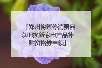 郑州将暂停消费品以旧换新家电产品补贴资格券申领