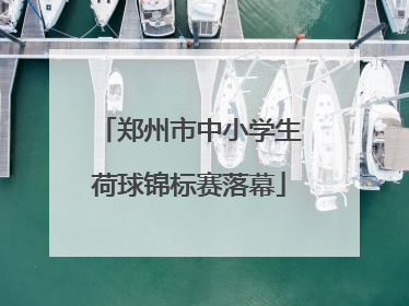 郑州市中小学生荷球锦标赛落幕