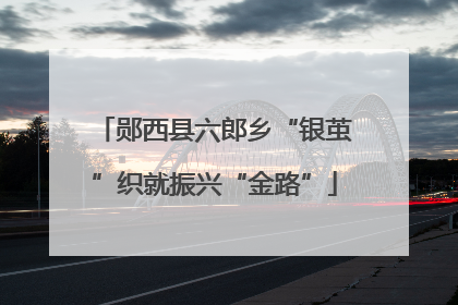 郧西县六郎乡“银茧”织就振兴“金路”