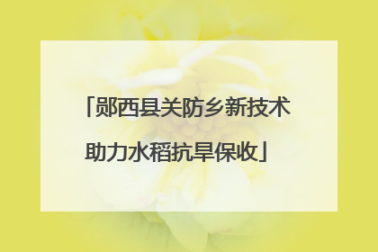 郧西县关防乡新技术助力水稻抗旱保收