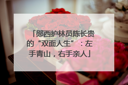 郧西护林员陈长贵的“双面人生”：左手青山，右手亲人