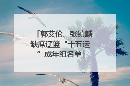 郭艾伦、张镇麟缺席辽篮“十五运”成年组名单