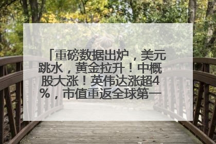 重磅数据出炉，美元跳水，黄金拉升！中概股大涨！英伟达涨超4%，市值重返全球第一！黄仁勋计划出售至多600万股股票