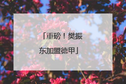重磅！樊振东加盟德甲
