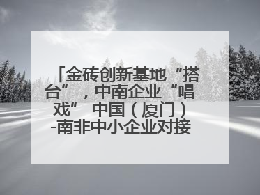 金砖创新基地“搭台”，中南企业“唱戏” 中国（厦门）-南非中小企业对接会在厦举办