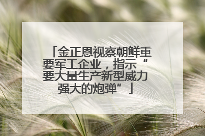 金正恩视察朝鲜重要军工企业，指示“要大量生产新型威力强大的炮弹”