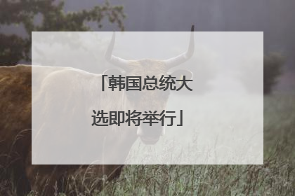 韩国总统大选即将举行
