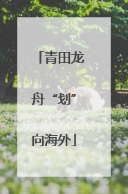 青田龙舟“划”向海外