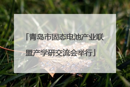 青岛市固态电池产业联盟产学研交流会举行