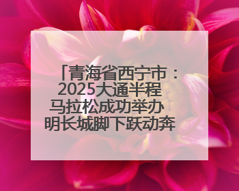 青海省西宁市：2025大通半程马拉松成功举办 明长城脚下跃动奔跑音符
