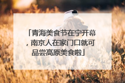 青海美食节在宁开幕，南京人在家门口就可品尝高原美食啦
