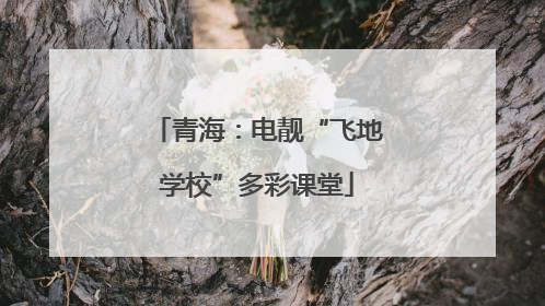 青海：电靓“飞地学校”多彩课堂