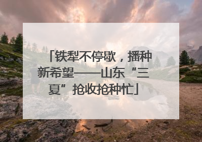 铁犁不停歇，播种新希望——山东“三夏”抢收抢种忙