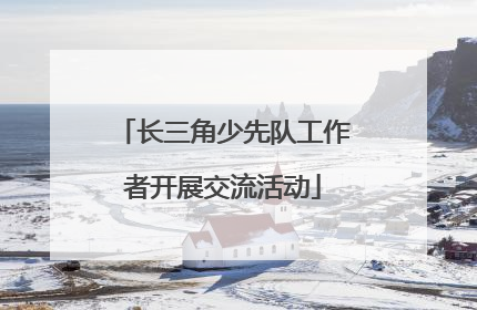 长三角少先队工作者开展交流活动