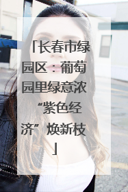 长春市绿园区：葡萄园里绿意浓 “紫色经济”焕新枝