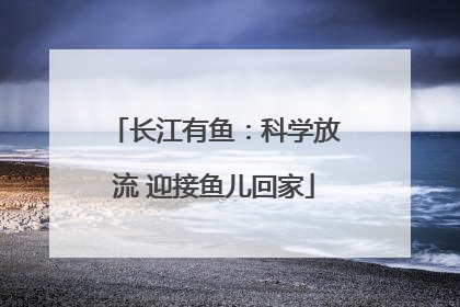 长江有鱼：科学放流 迎接鱼儿回家