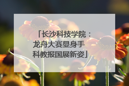 长沙科技学院：龙舟大赛显身手 科教报国展新姿