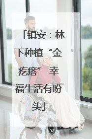 镇安：林下种植“金疙瘩” 幸福生活有盼头