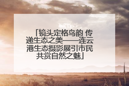 镜头定格鸟韵 传递生态之美——连云港生态摄影展引市民共赏自然之魅
