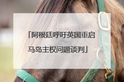 阿根廷呼吁英国重启马岛主权问题谈判