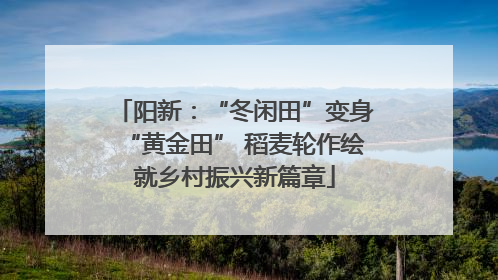 阳新：“冬闲田”变身“黄金田” 稻麦轮作绘就乡村振兴新篇章