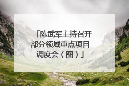 陈武军主持召开部分领域重点项目调度会（图）
