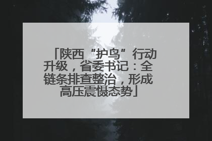 陕西“护鸟”行动升级，省委书记：全链条排查整治，形成高压震慑态势
