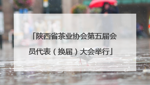 陕西省茶业协会第五届会员代表（换届）大会举行