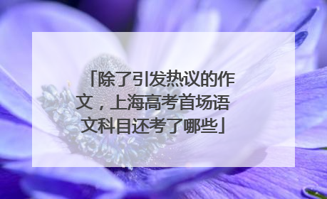 除了引发热议的作文，上海高考首场语文科目还考了哪些
