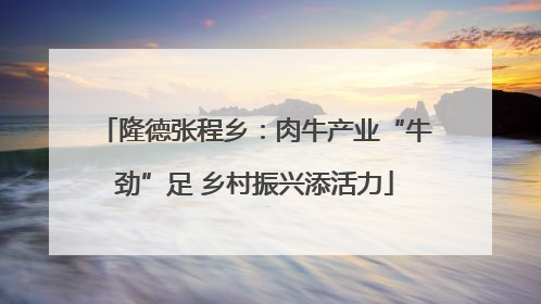 隆德张程乡：肉牛产业“牛劲”足 乡村振兴添活力