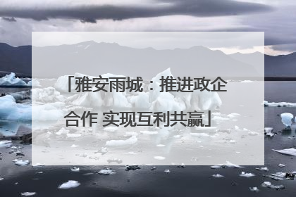 雅安雨城：推进政企合作 实现互利共赢
