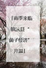 雨季来临 镇沅县“菌子经济”升温