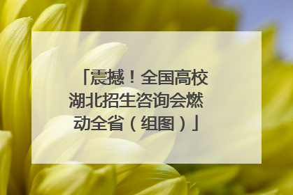 震撼！全国高校湖北招生咨询会燃动全省（组图）