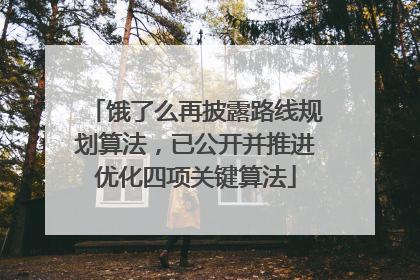 饿了么再披露路线规划算法，已公开并推进优化四项关键算法