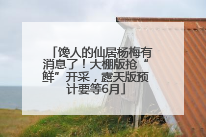 馋人的仙居杨梅有消息了！大棚版抢“鲜”开采，露天版预计要等6月