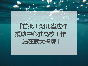 首批！湖北省法律援助中心驻高校工作站在武大揭牌