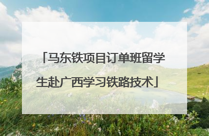 马东铁项目订单班留学生赴广西学习铁路技术