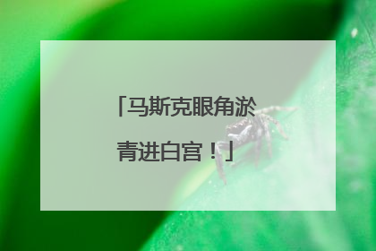 马斯克眼角淤青进白宫！